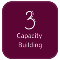 Capacity-Building-LFC-Consulting